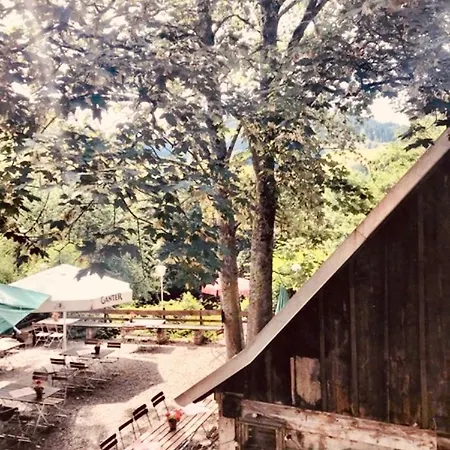 Gasthaus Birke Отель