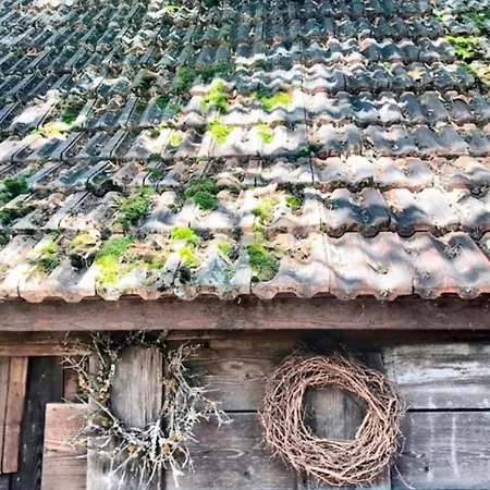 Отель Gasthaus Birke