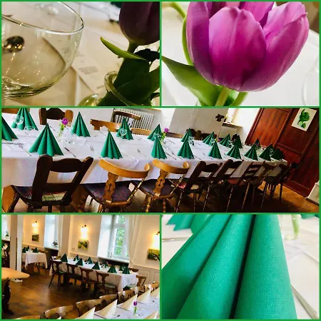 Gasthaus Birke Отель *
